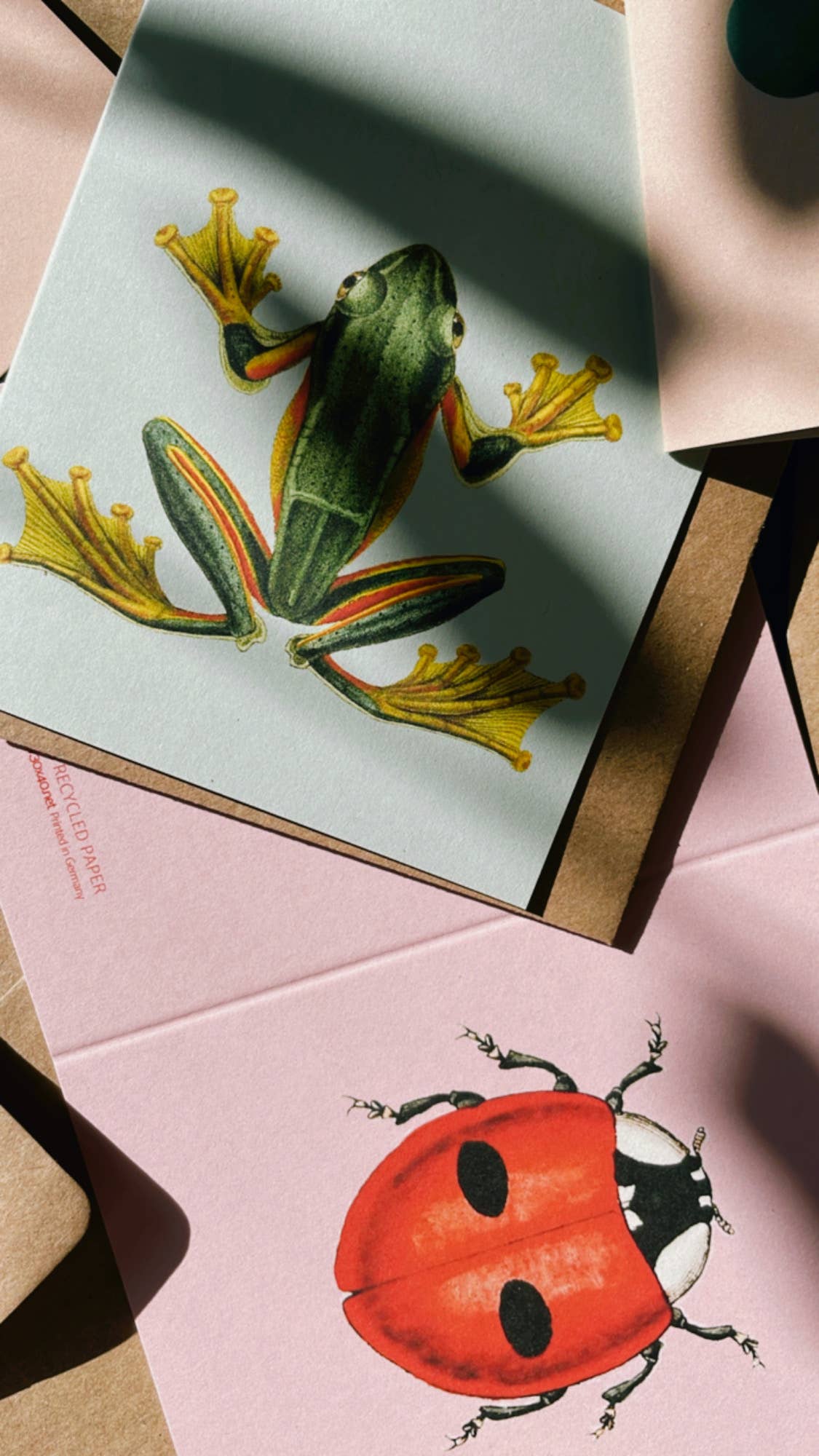 Belladonna Marienkäfer Mini-Karte