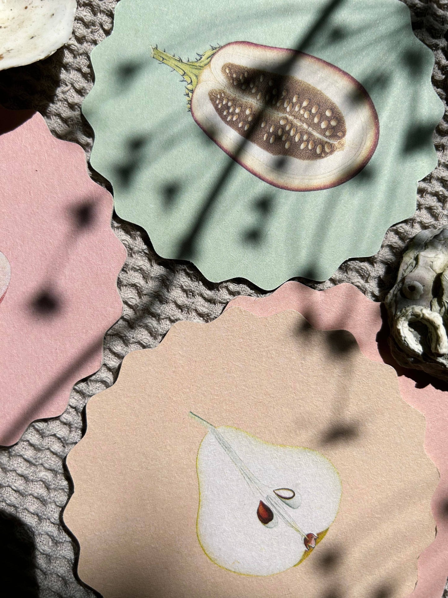 Untersetzer-Set Obst & Gemüse 🍋🥑🍊