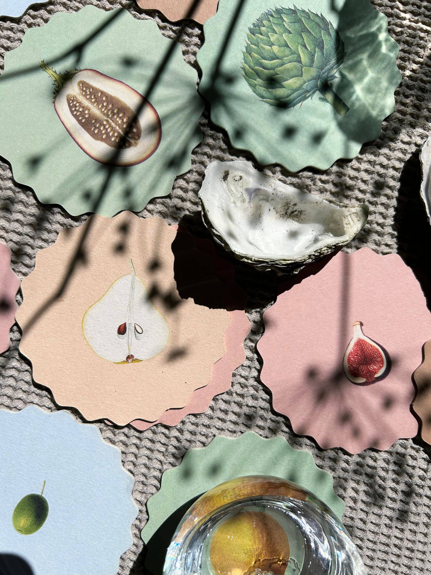 Untersetzer-Set Obst & Gemüse 🍋🥑🍊