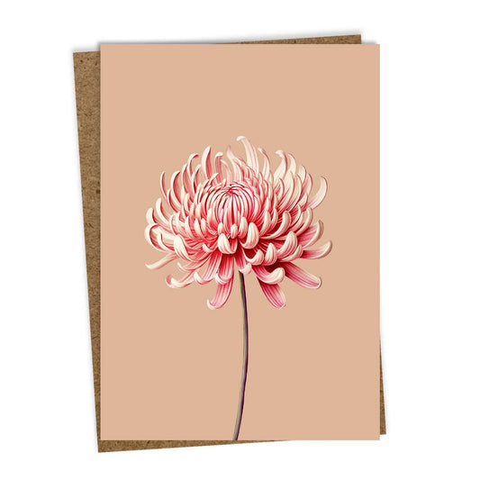 Chrysanthemen Grusskarte - Leporello-Karte