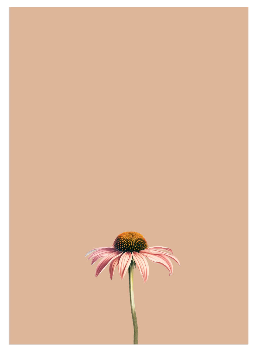 Sonnenhut Notizblock A5