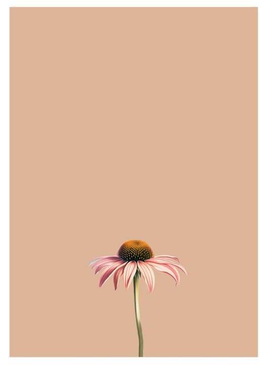 Sonnenhut Notizblock A5