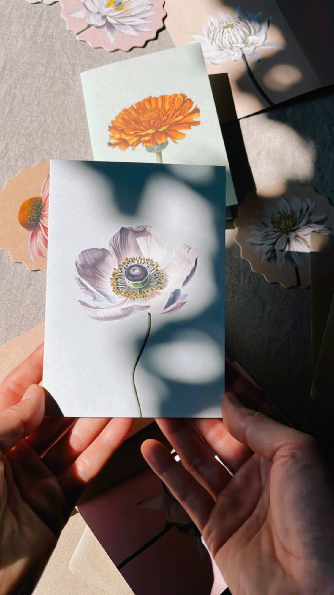 Anemone Leporello Grusskarte