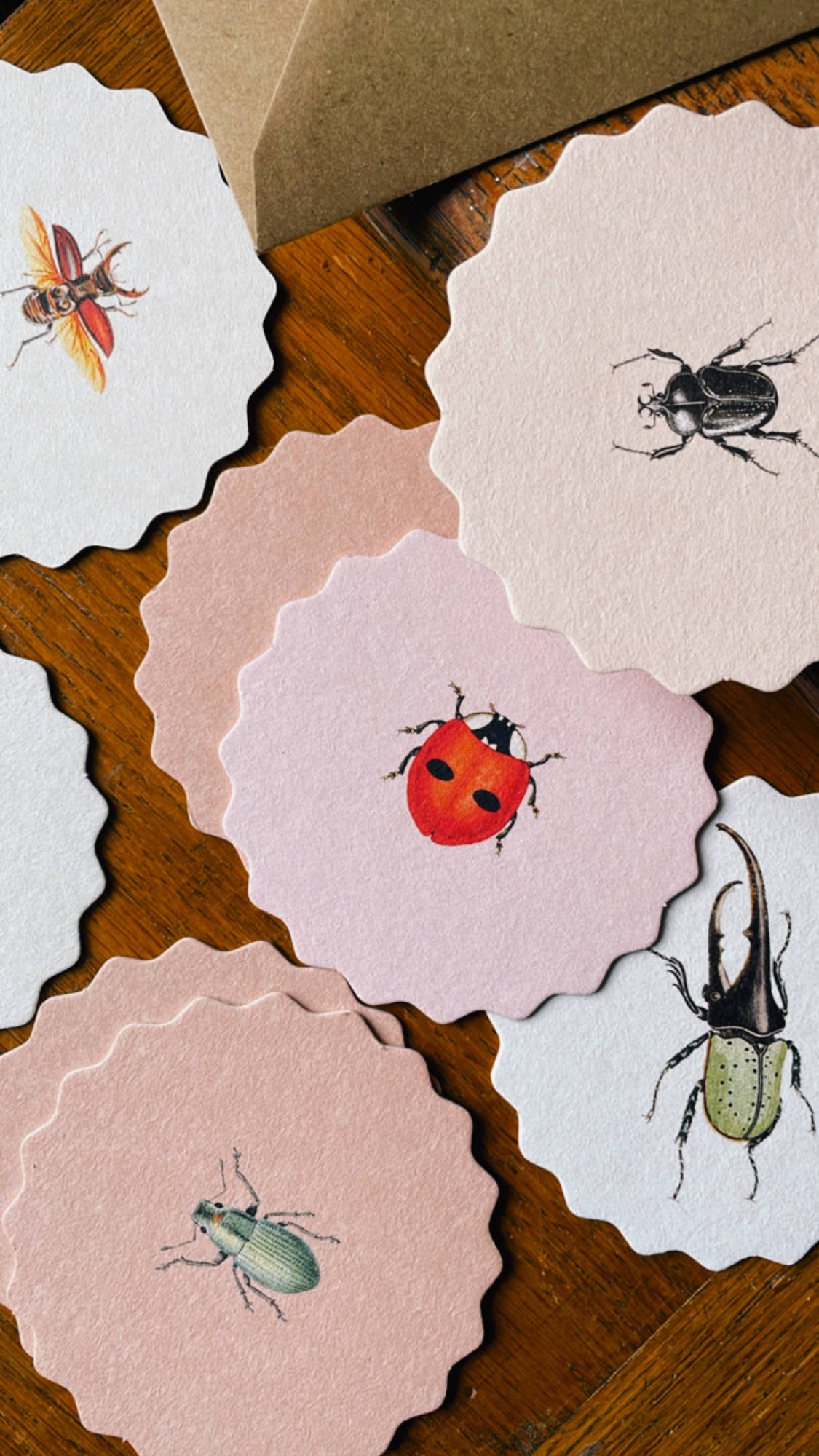 Untersetzer-Set Insekten 🐞🐝🪲