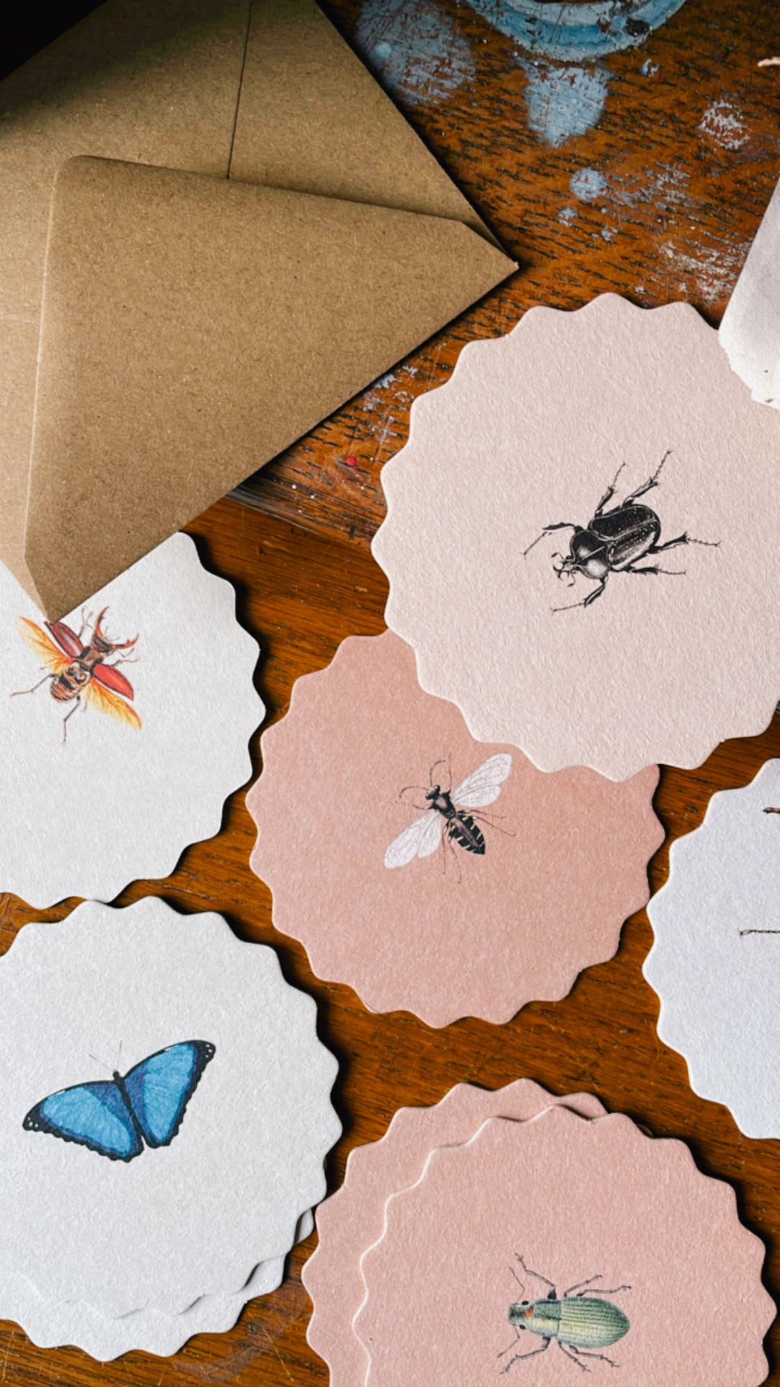 Untersetzer-Set Insekten 🐞🐝🪲