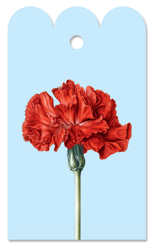 Nelken Blumen-Geschenkanhänger