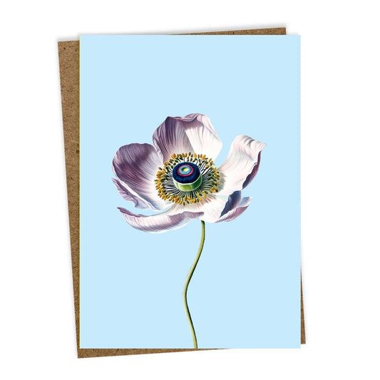 Anemone Leporello Grusskarte