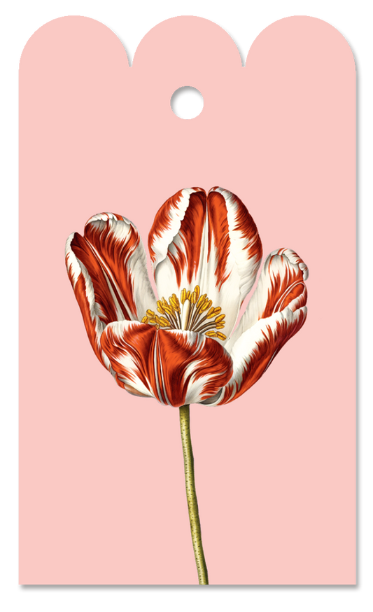 Tulpen-Geschenkanhänger