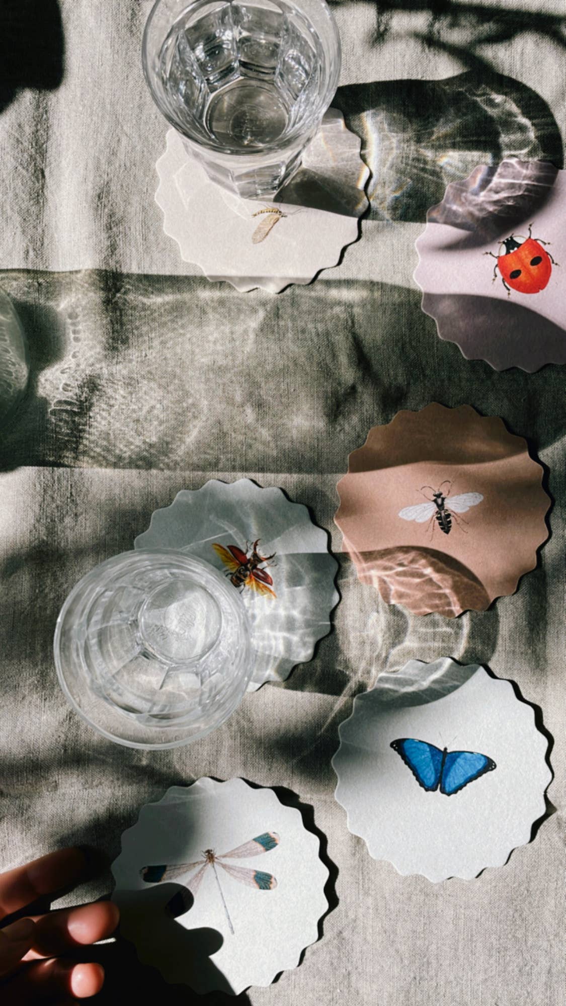 Untersetzer-Set Insekten 🐞🐝🪲