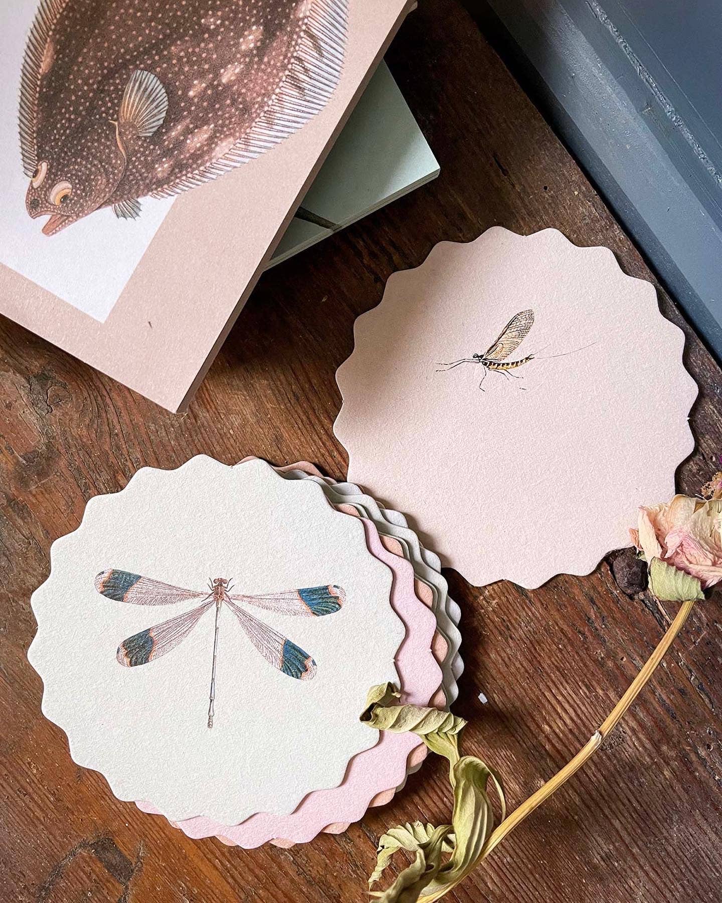 Untersetzer-Set Insekten 🐞🐝🪲