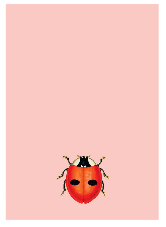 Belladonna Marienkäfer Notizblock A5