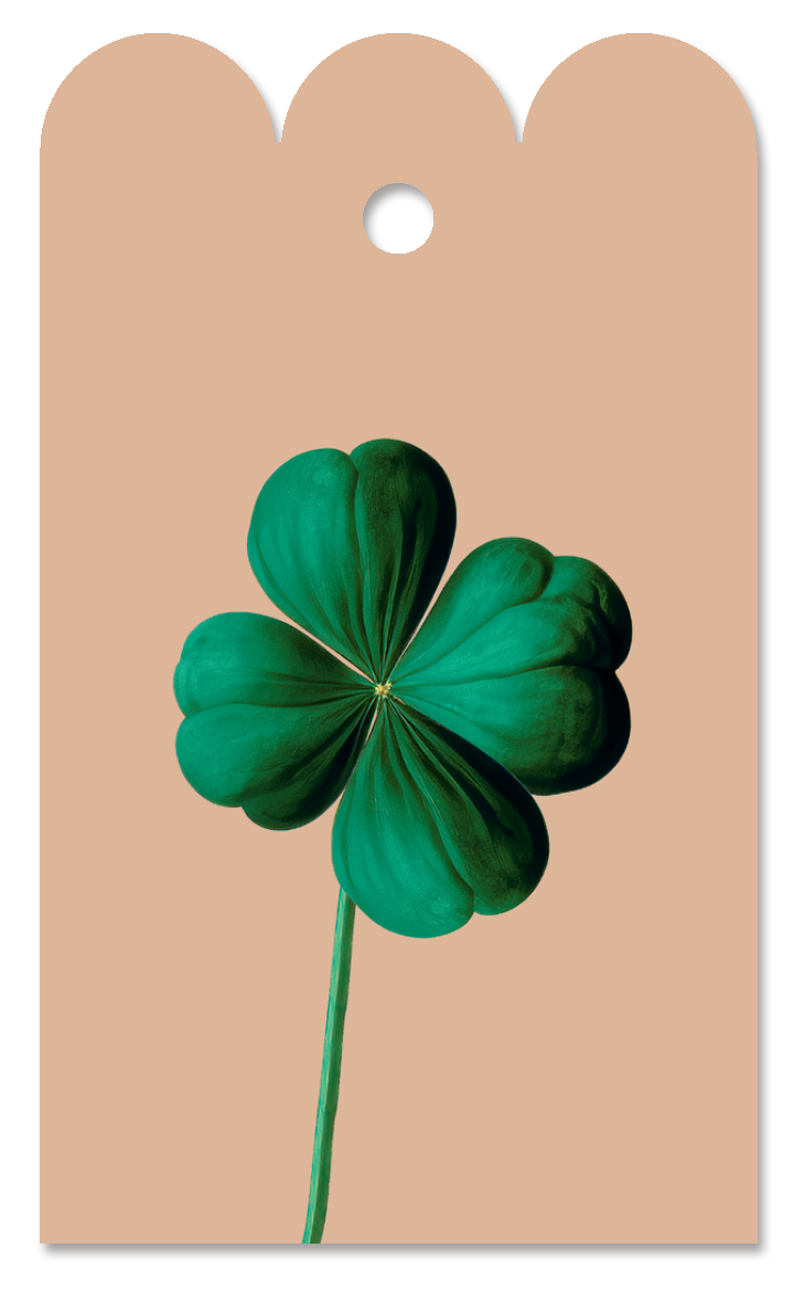 Viel Glück 🍀 Geschenkanhänger