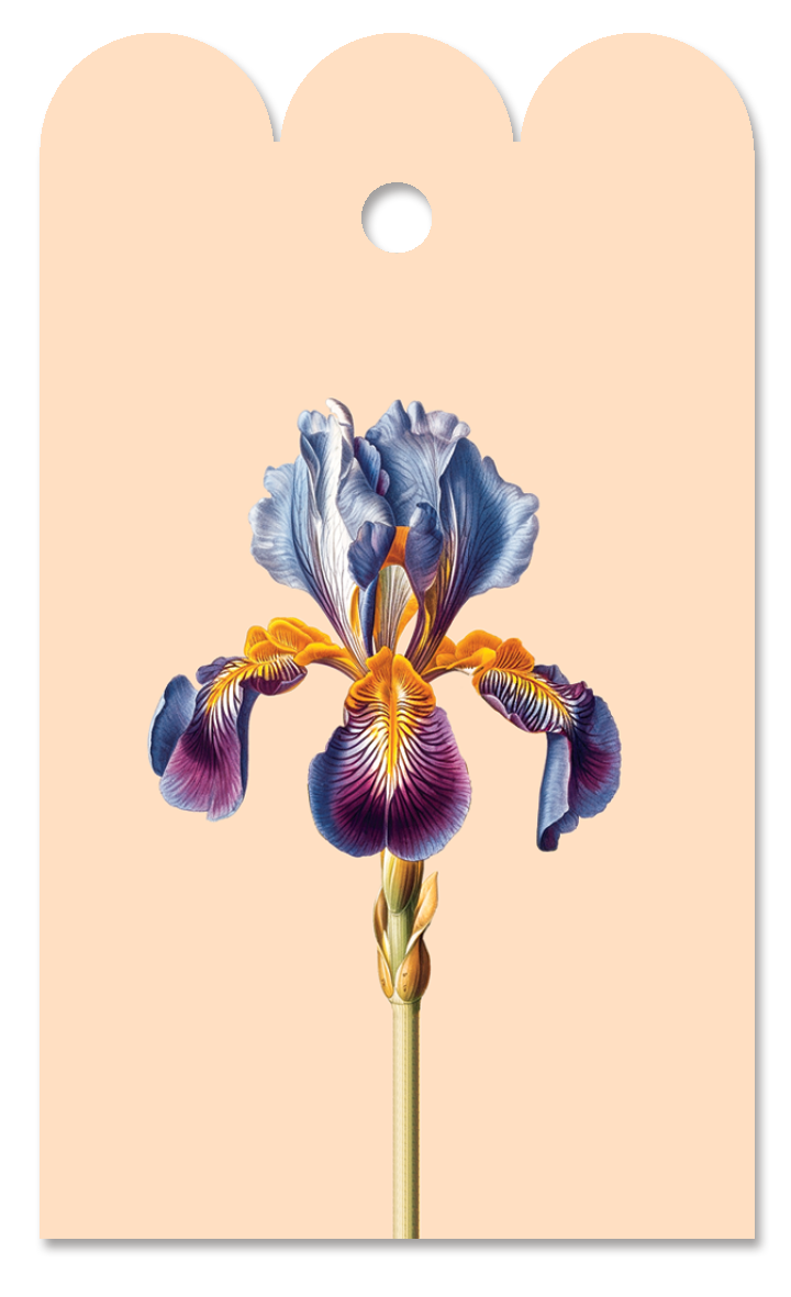 Iris Geschenkanhänger