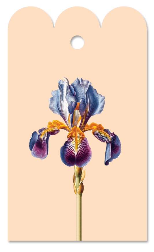 Iris Geschenkanhänger