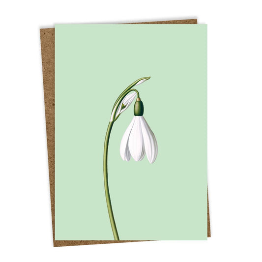 Schneeglöckchen Leporello Grußkarte