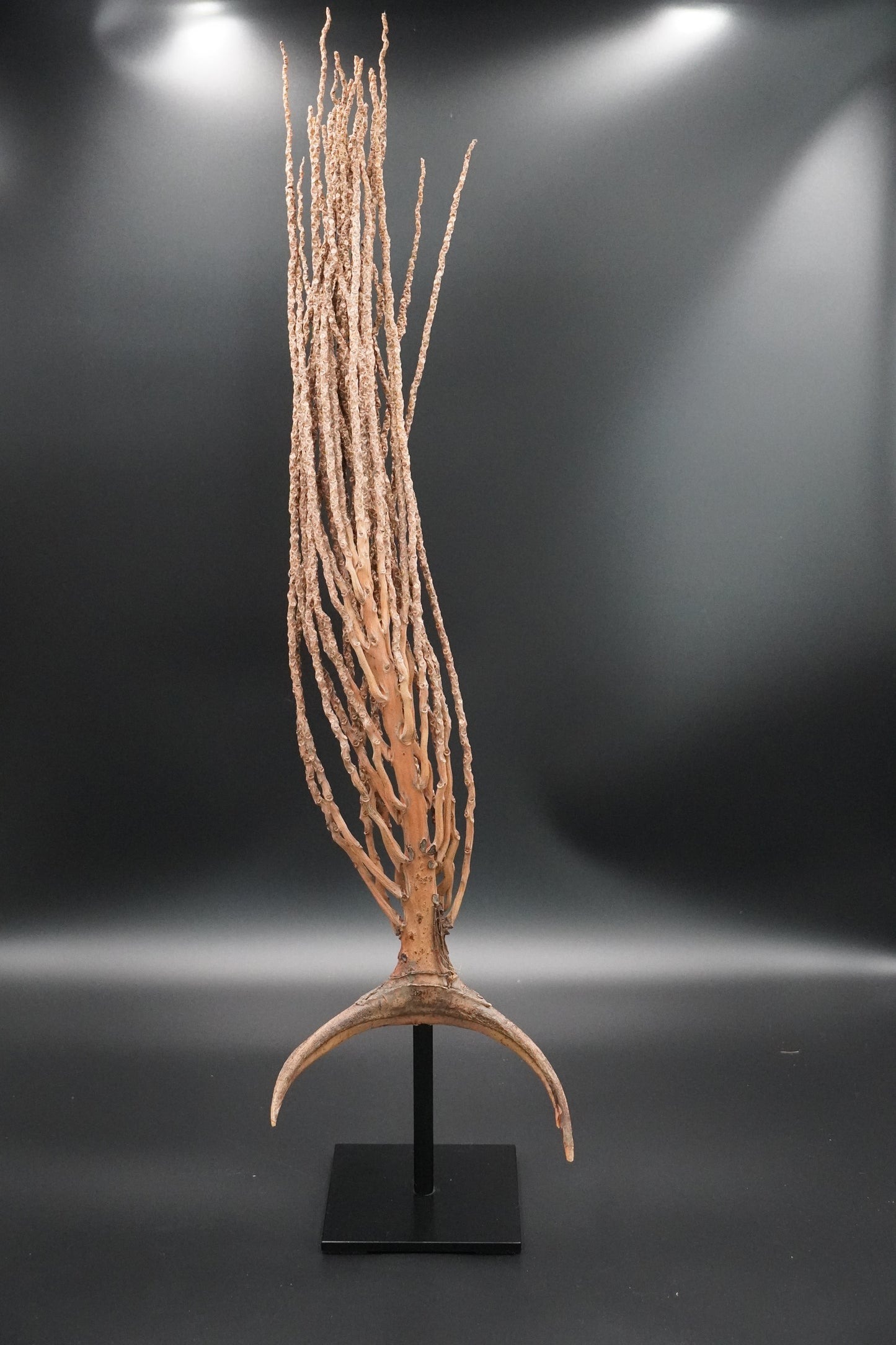 Skulptur vom Dattelzweig