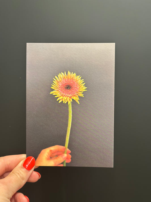 Postkarte Gerbera