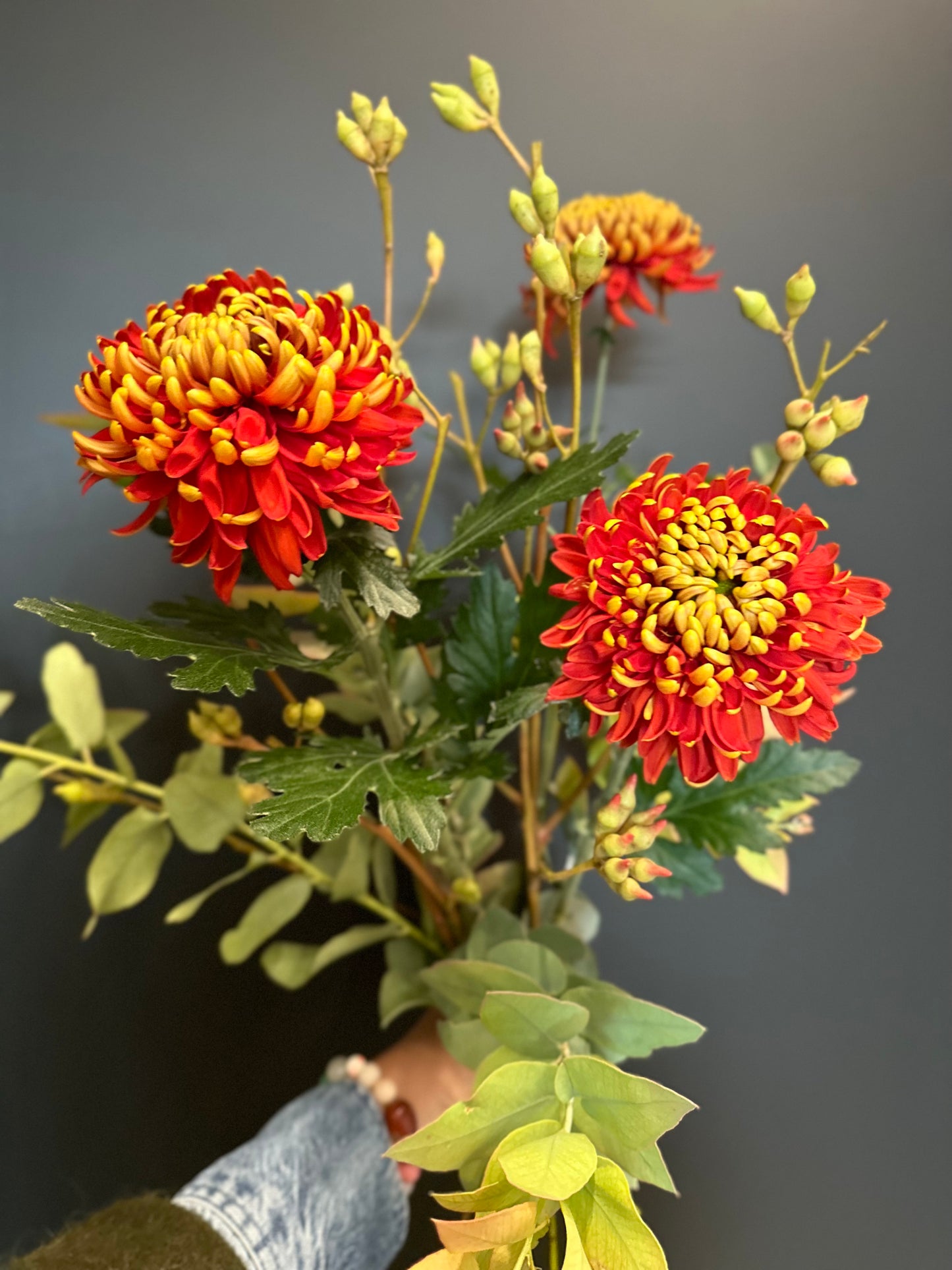 Postkarte Strauss orange