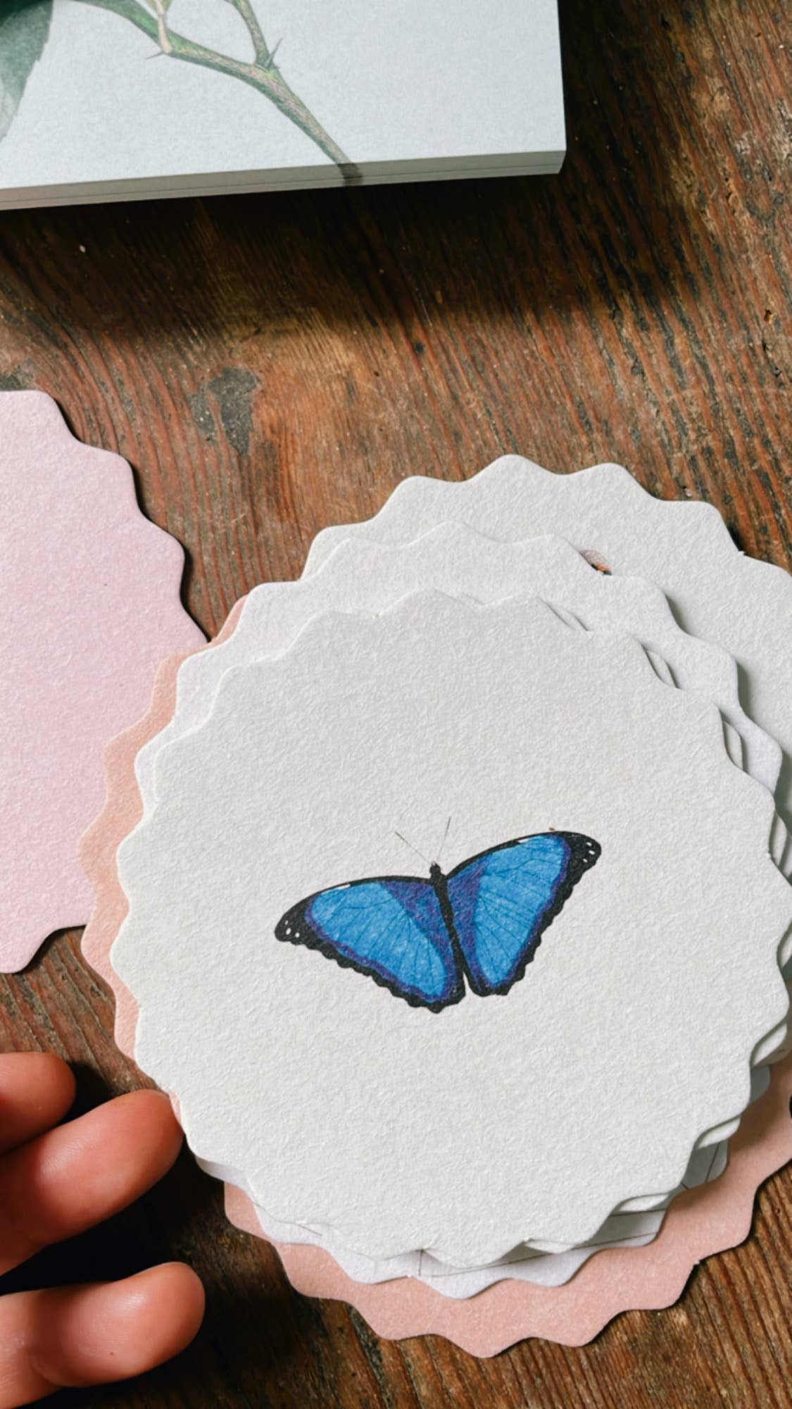 Untersetzer-Set Insekten 🐞🐝🪲