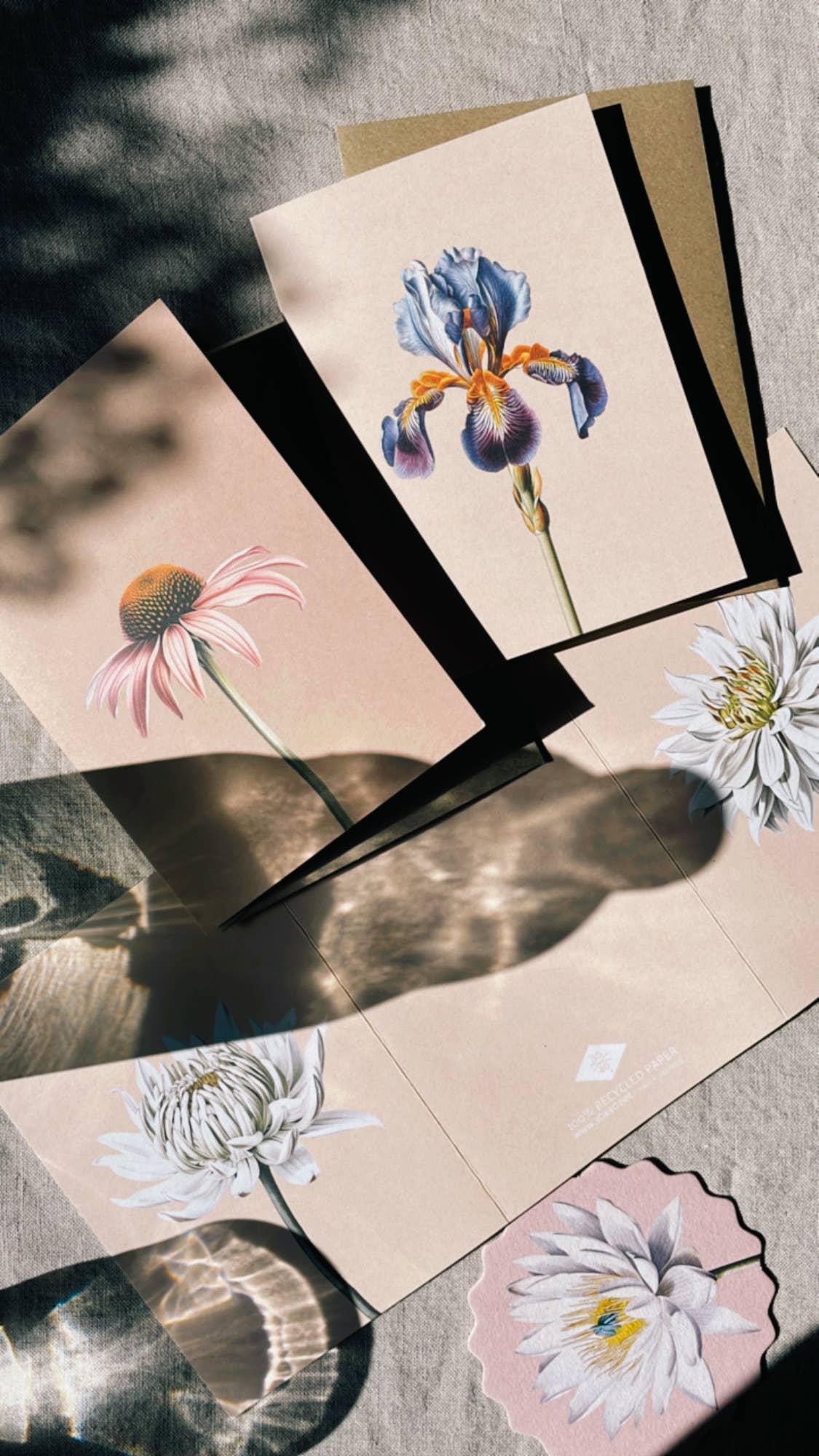 Iris Leporello Grußkarte