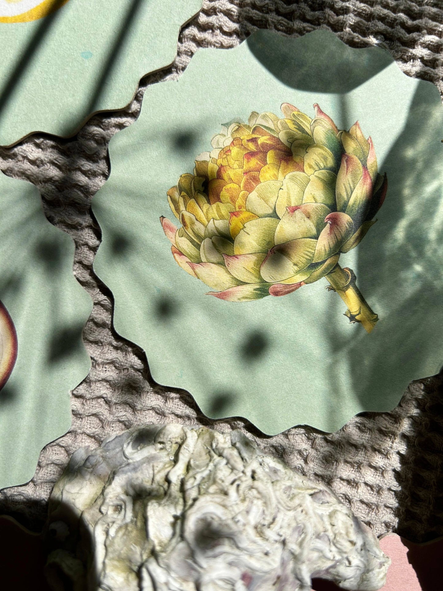 Untersetzer-Set Obst & Gemüse 🍋🥑🍊