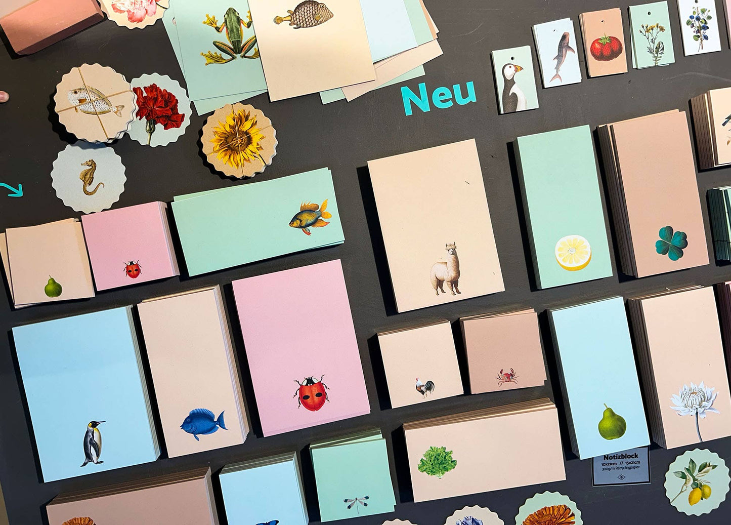 Belladonna Marienkäfer Notizblock A5