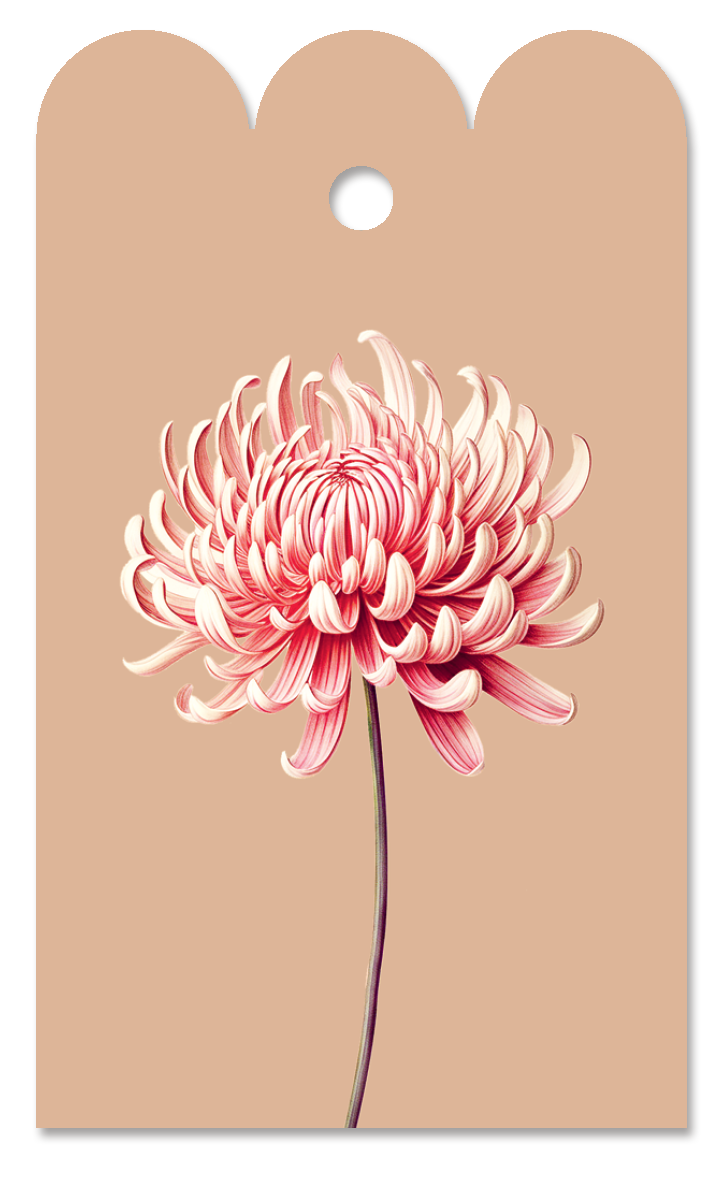 Chrysanthemen-Geschenkanhänger
