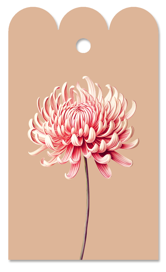 Chrysanthemen-Geschenkanhänger