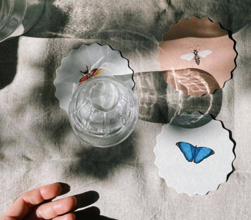 Untersetzer-Set Insekten 🐞🐝🪲