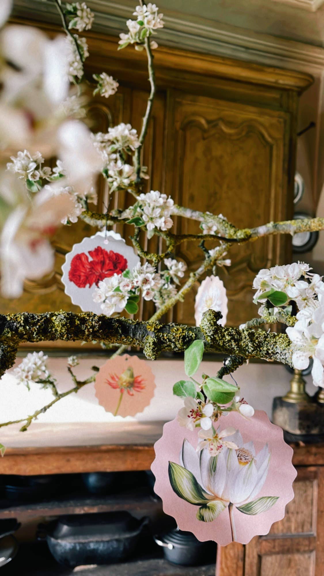 Untersetzer-Set Blumen 🌻🌸🌼