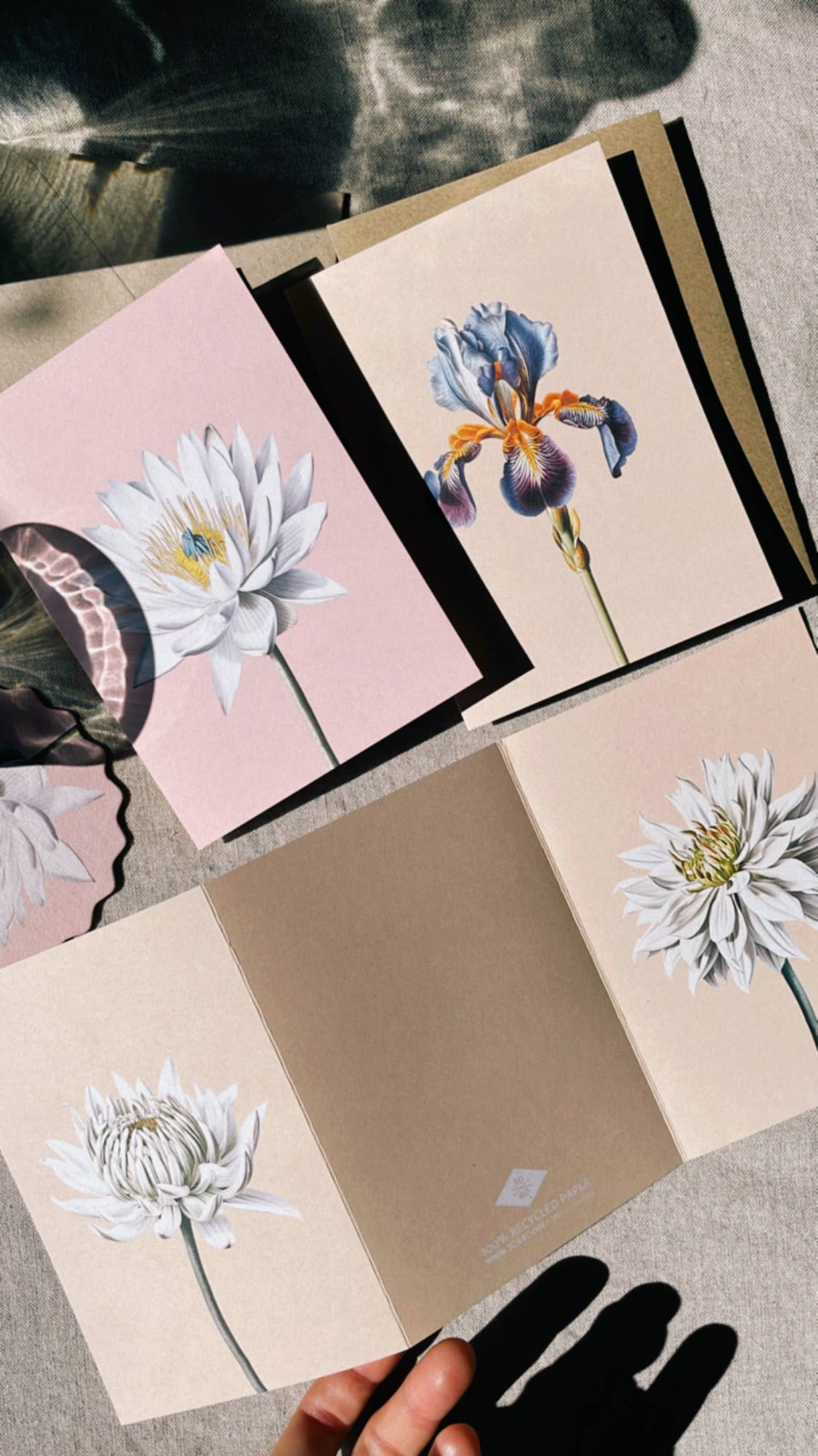 Iris Leporello Grußkarte