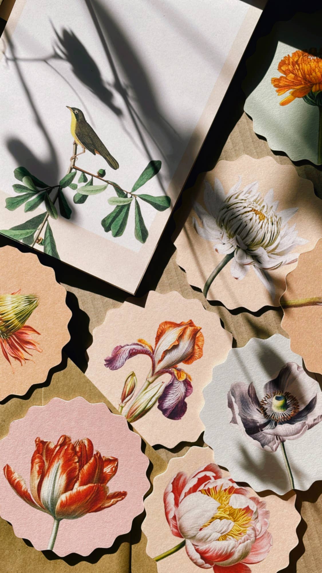 Untersetzer-Set Blumen 🌻🌸🌼