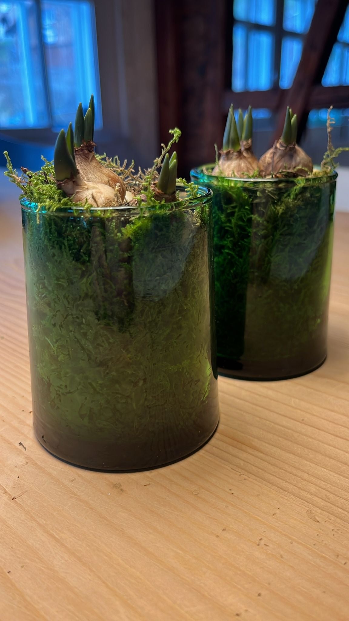 Marokkanisches Beldi Glas