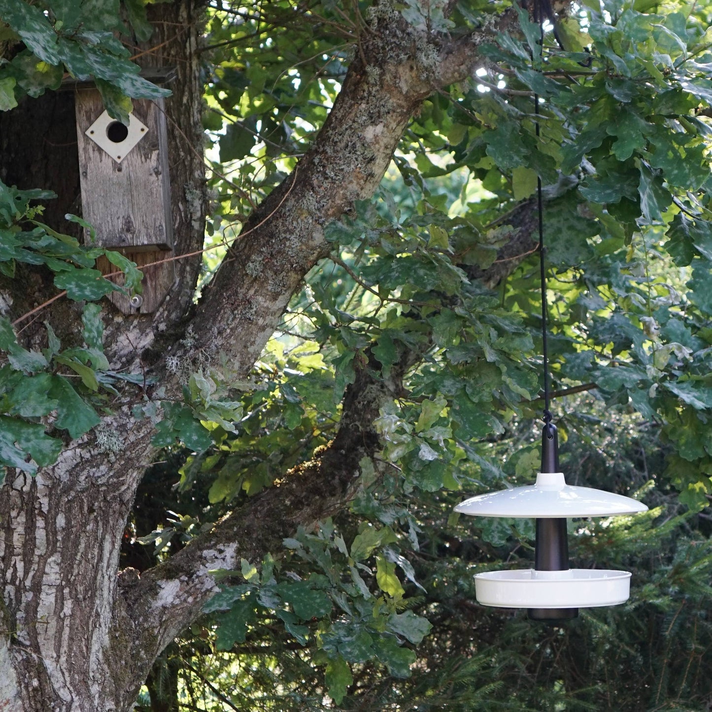 Vogelfutterstelle Nam nam aus Porzellan und Holz