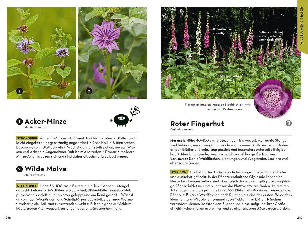 Familien-Naturführer