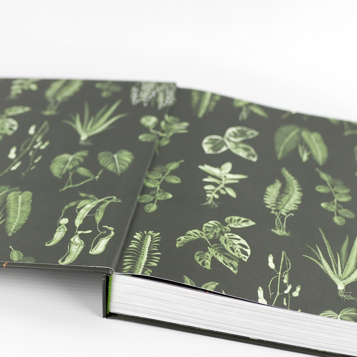 Plantopedia