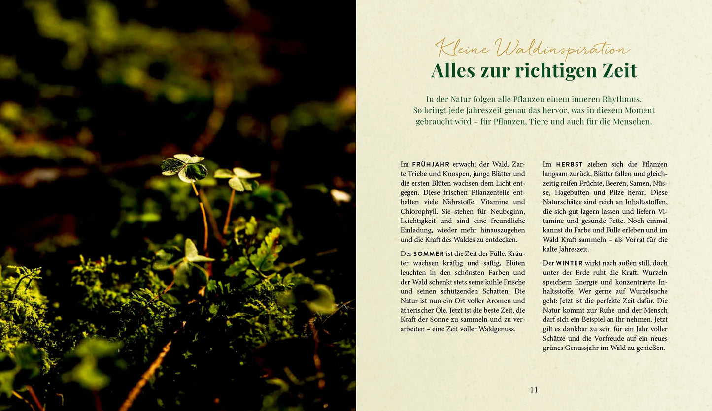 Waldgenuss für dich