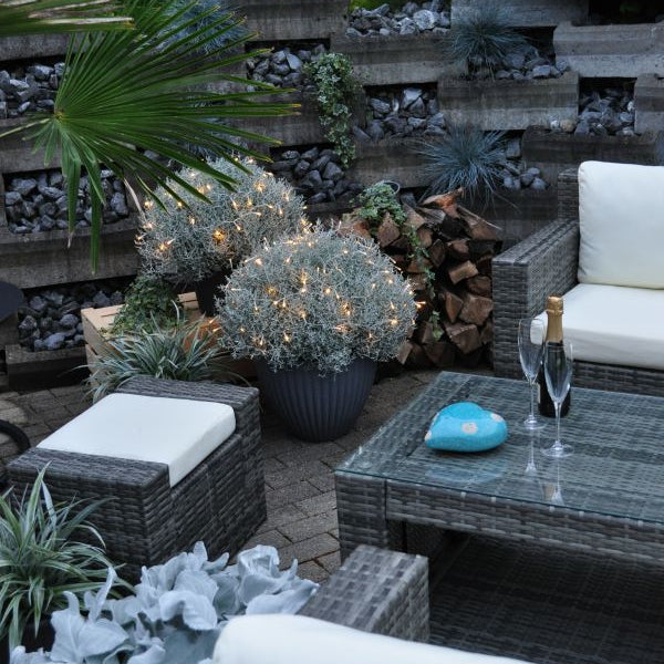 Der silberne Winterschmuck, Silberkopf - Calocephalus brownii Silver mit Lichterkette