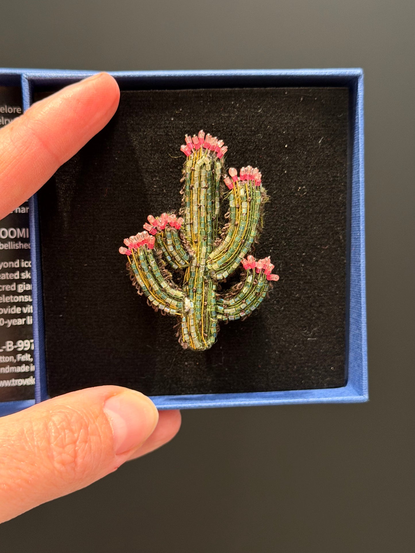 Blooming Desert Cactus – Kaktus Brosche