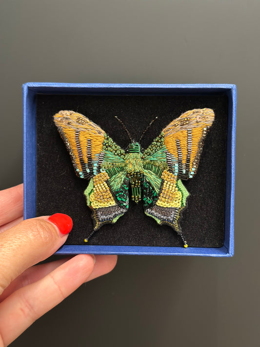 Kaiser von Indien – Emperor of India Butterfly Brosche von Trovelore
