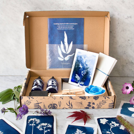 Cyanotypie DIY Kit – Botanische Kunstdrucke selbst gestalten