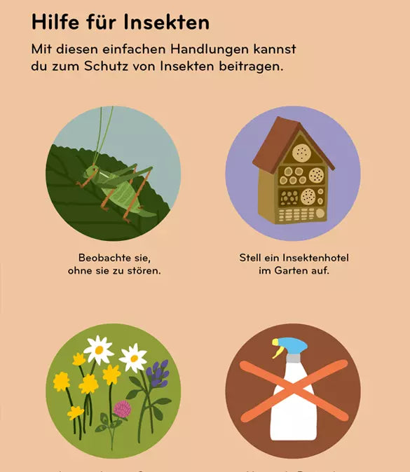 Insektorama – Entdecke und beobachte die faszinierende Welt der Insekten