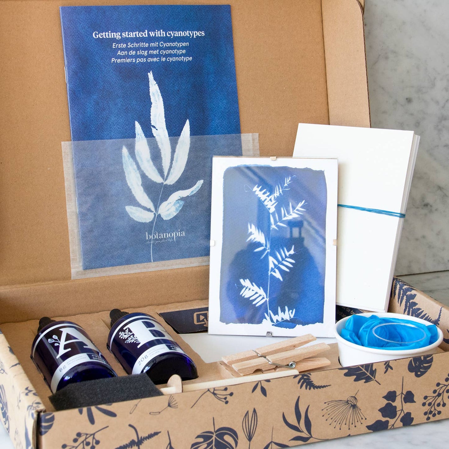 Cyanotypie DIY Kit – Botanische Kunstdrucke selbst gestalten