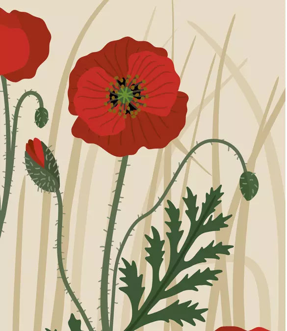 Florama – Entdecke und beobachte die kunterbunte Welt der Blumen