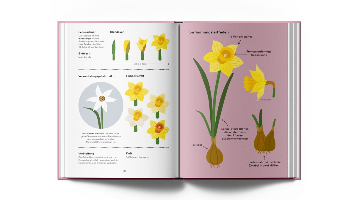 Florama – Entdecke und beobachte die kunterbunte Welt der Blumen