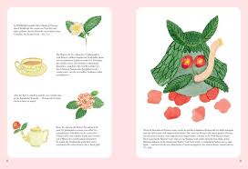 Wenn Blumen kleine Monster wären – Eine monstermässige Einführung in die Blumenwelt