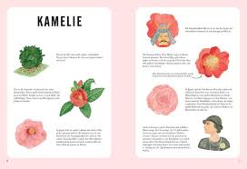 Wenn Blumen kleine Monster wären – Eine monstermässige Einführung in die Blumenwelt