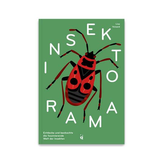 Insektorama – Entdecke und beobachte die faszinierende Welt der Insekten